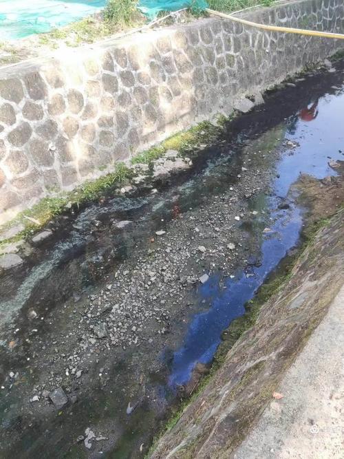 龙华区城西路金盘沟水面漂浮白色污染物事件调查与反思——以中国石油海南销售公司员工培训基地对面河段为例