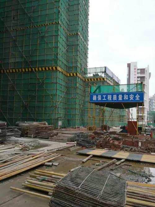惠州大亚湾工程与龙华教育项目群 怡宁医院、龙华中学与龙华石油的多元发展图景